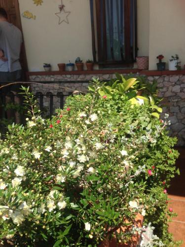 Bed & Breakfast Colapesce