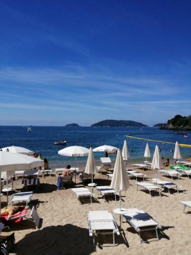 Apartamento Casa Mar�