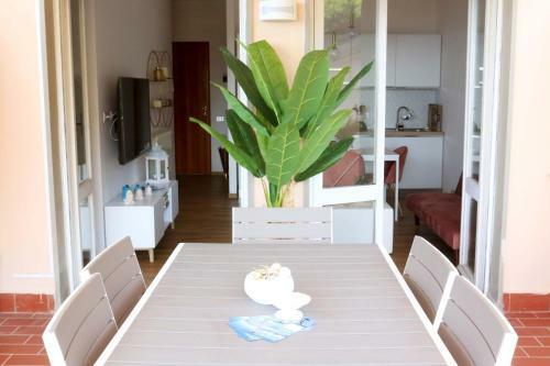 Hidden Gem Apartment With Swimming Pool