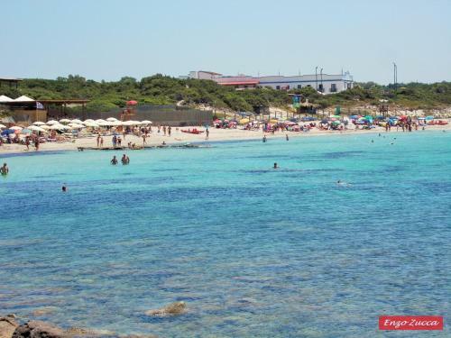 Pineta Spiaggia Grande 2