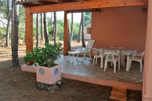 Pineta Spiaggia Grande 2