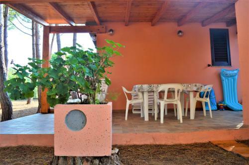 Pineta Spiaggia Grande 2