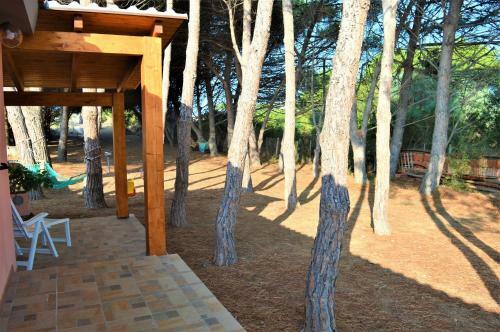 Pineta Spiaggia Grande 2