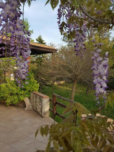B&B Villa In Campagna Immersa Nel Verde