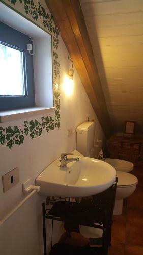 B&B Villa In Campagna Immersa Nel Verde