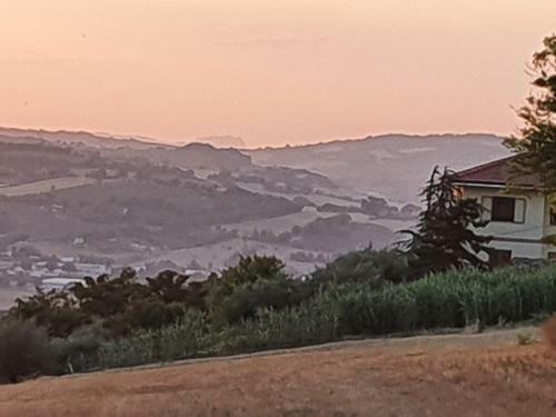 Nel Cuore Delle Colline Marchigiane