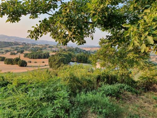 Nel Cuore Delle Colline Marchigiane