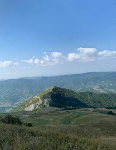 Nel Cuore Delle Colline Marchigiane