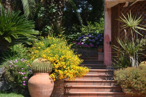 Villa Etnasicily, Private Pool And Garden