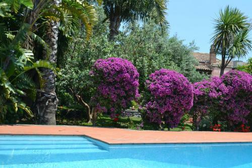 Villa Etnasicily, Private Pool And Garden