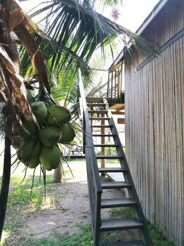 Hotel Afro Beach Butre