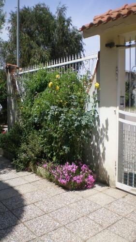 Apartamento Casa Dessi'