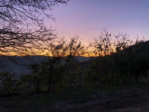 Apartamento Il Cortile Dei Frutti Selvatici