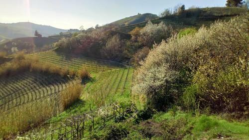 Apartamento Il Cortile Dei Frutti Selvatici