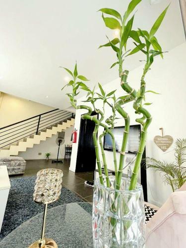 Apartamento 3 Bedroom Luxury Duplex, Osu Ringway Estates