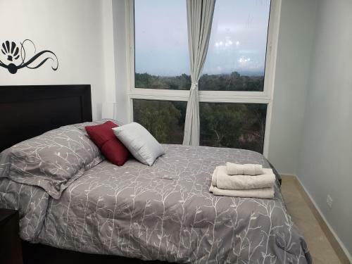 Lindo Apartamento Con Wifi