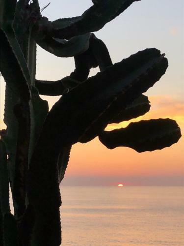 Villa Vista Mare A Santo Stefano Di C