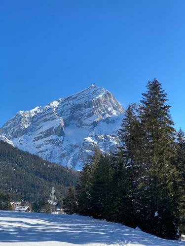 Apartamento Homely Cortina Ready Experience