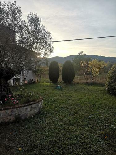 Villa Vecchio Ulivo