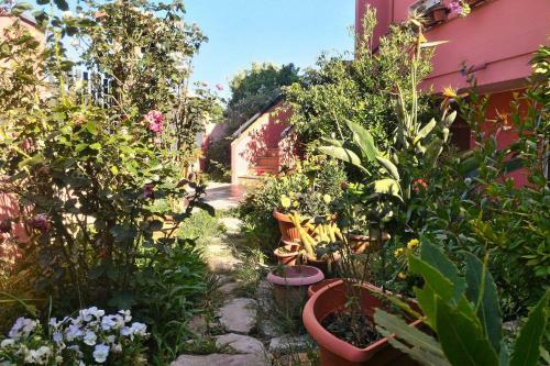 Corona Bed & Breakfast