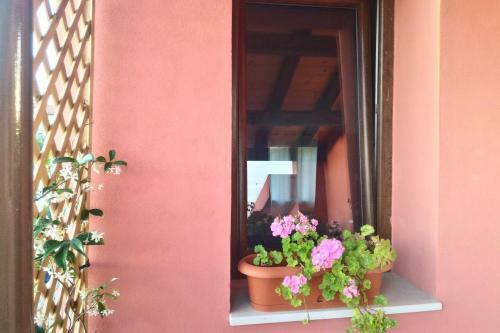 Corona Bed & Breakfast