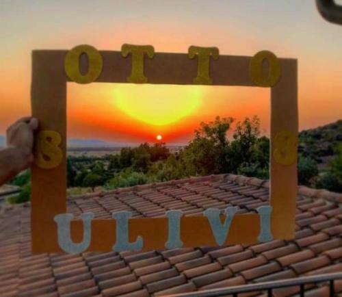 B&B Ottoulivi
