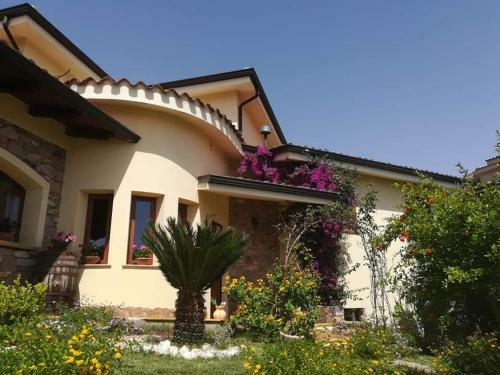 B&B Ottoulivi