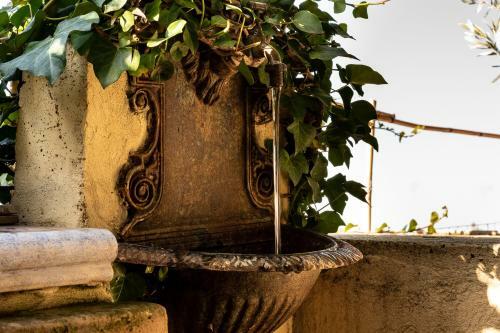 B&B Ottoulivi