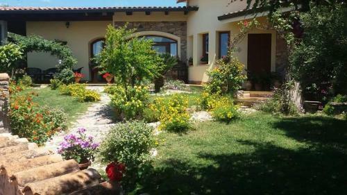 B&B Ottoulivi