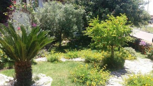 B&B Ottoulivi