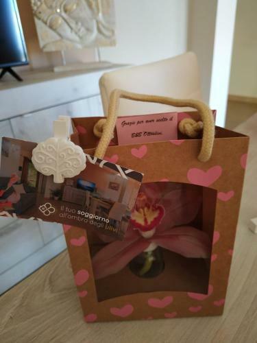B&B Ottoulivi