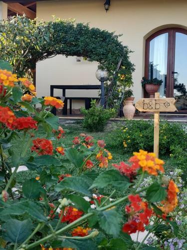 B&B Ottoulivi