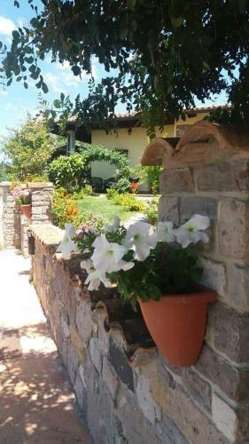 B&B Ottoulivi