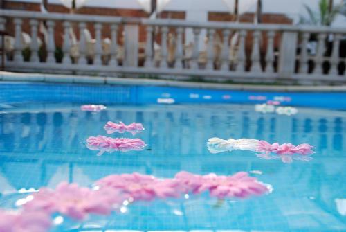 Hostal Tur� De La Torre