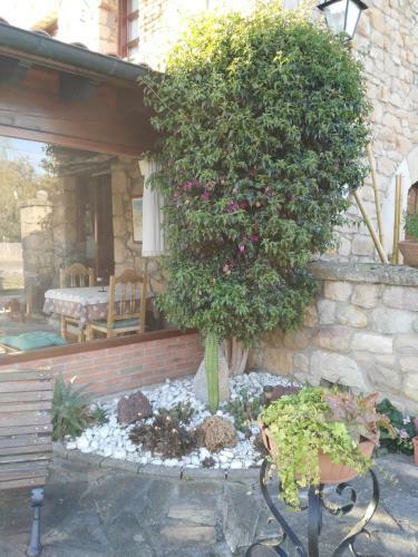 Hostal Posada La Llosa De Viveda