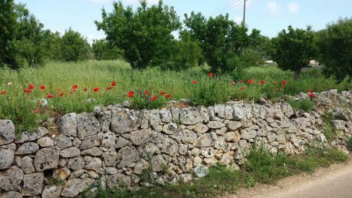 Apartamento La Casa Della Nonna In Salento