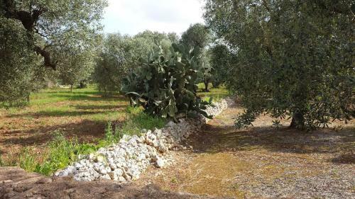 Apartamento La Casa Della Nonna In Salento