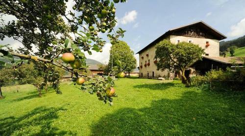 Apartamento Moserhof Ferienwohnung Reinegg