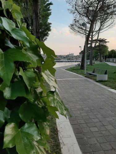 Apartamento Suite Riva