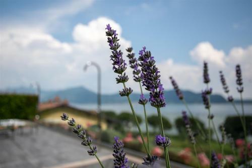 Apartamento Iseolakerental - Surre Resort