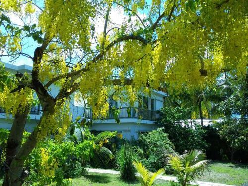 Apartamento Cap Heureux Villas