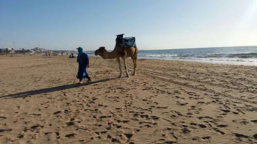 Apartamento Appartement Agadir