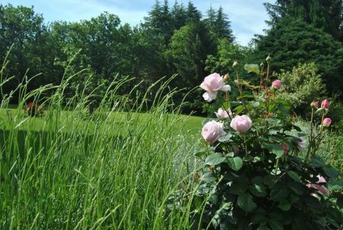 Bed & Breakfast L' Assiolo B & B