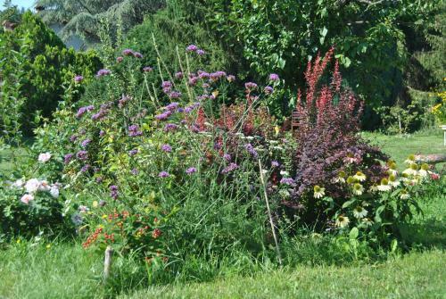 Bed & Breakfast L' Assiolo B & B