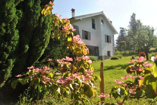 Bed & Breakfast L' Assiolo B & B