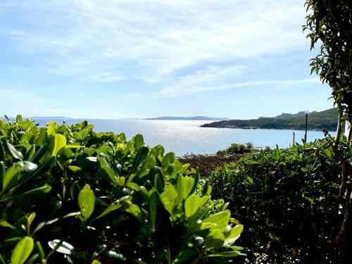 Apartamento Appartamento Fronte Mare