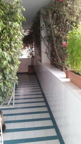 Apartamento Luxe Appartement In Centre Agadir