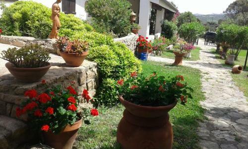 Villa La Liccia