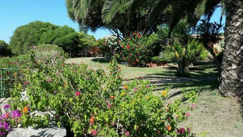 Villa La Liccia