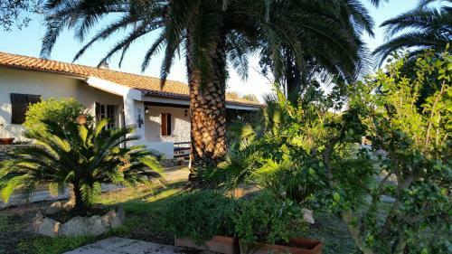 Villa La Liccia